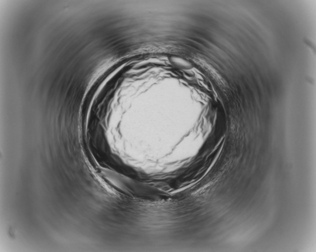 X0000096130894200802081322