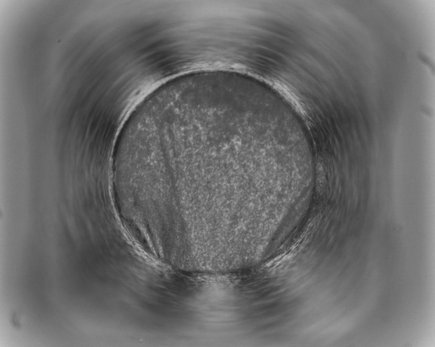 X0000096130895200802081322