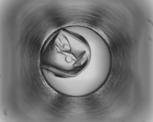 X0000096130896200802081322