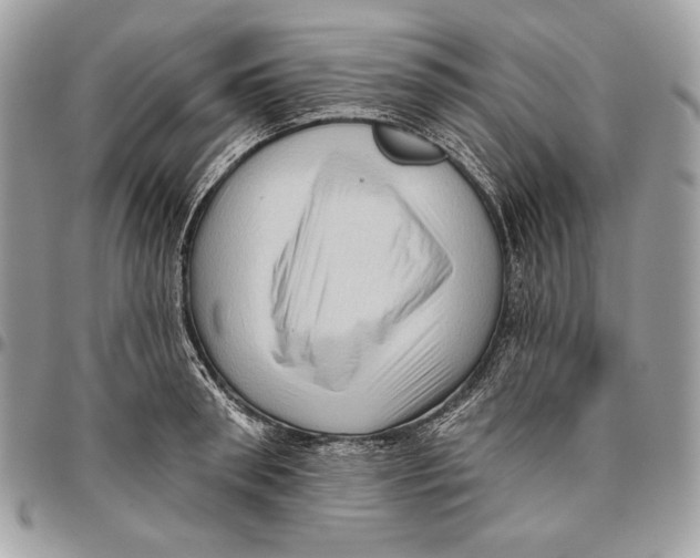 X0000096130898200802081322
