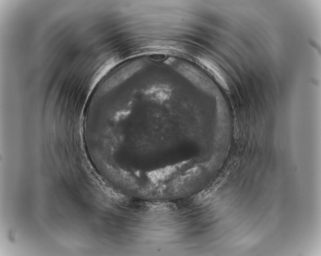 X0000096130899200802081322