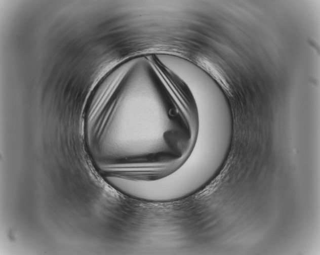 X0000096130900200802081322