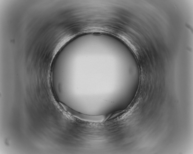 X0000096130901200802081322
