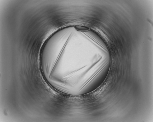 X0000096130902200802081322