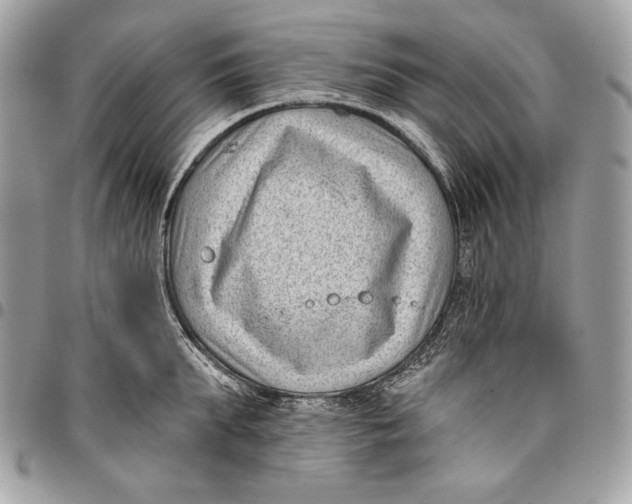 X0000096130903200802081322