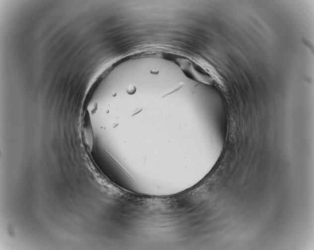 X0000096130904200802081322