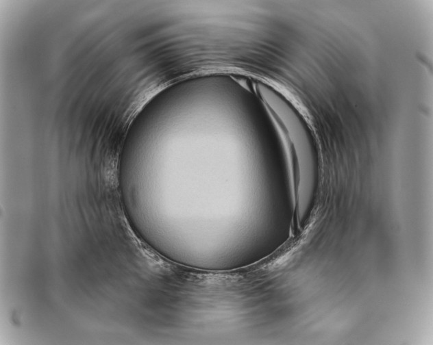 X0000096130905200802081322