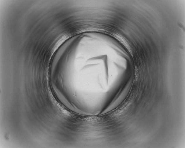 X0000096130906200802081322
