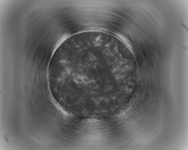 X0000096130907200802081322