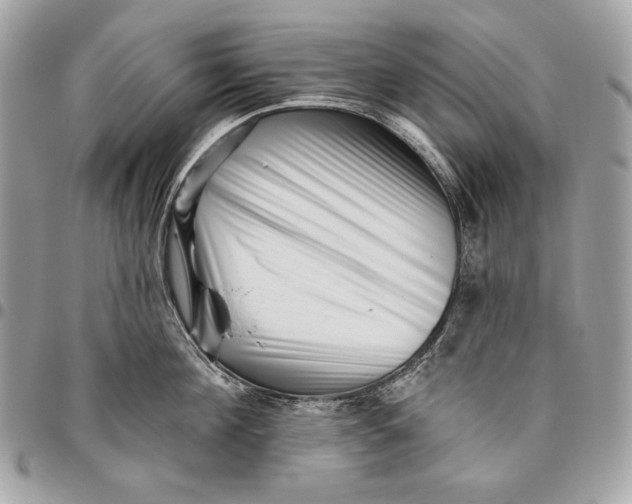 X0000096130908200802081322