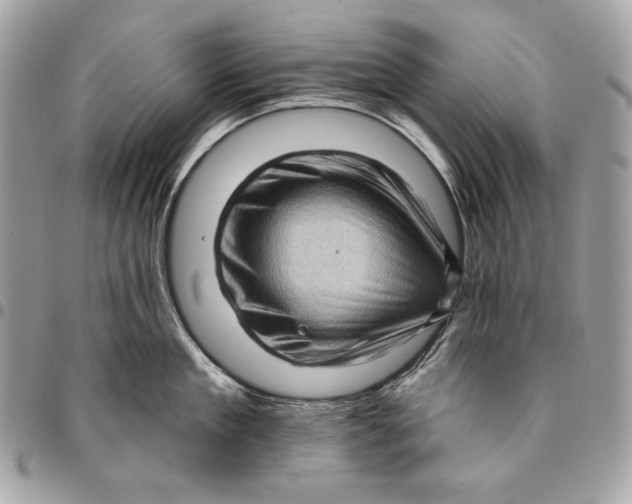 X0000096130909200802081322
