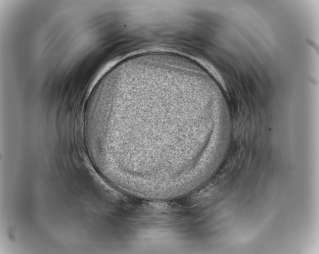 X0000096130911200802081322
