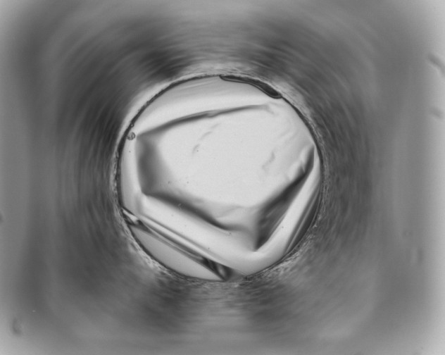 X0000096130912200802081322
