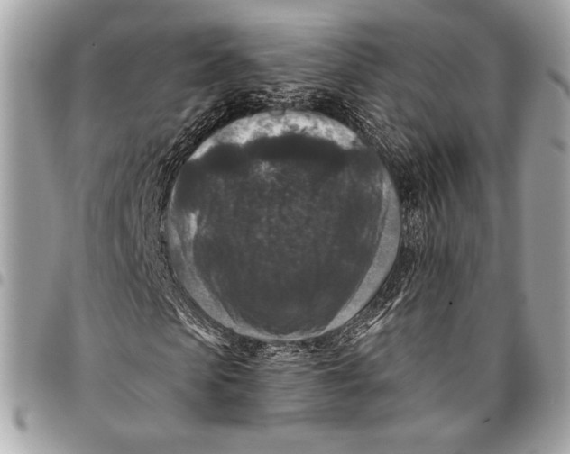 X0000096130913200802081322