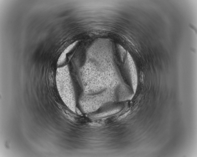 X0000096130915200802081322