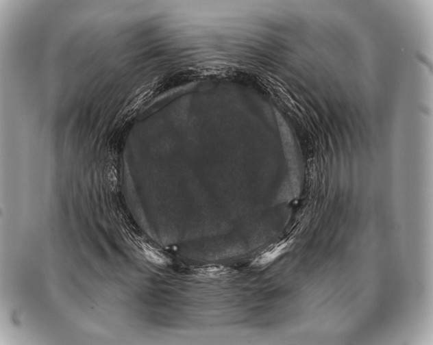 X0000096130916200802081322