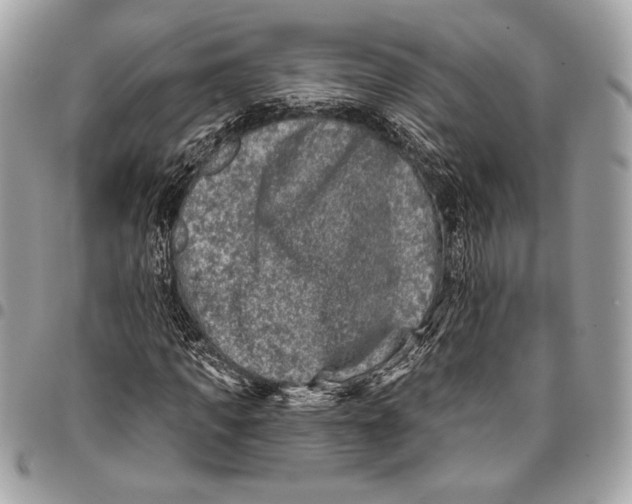 X0000096130917200802081322