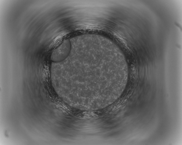 X0000096130918200802081322