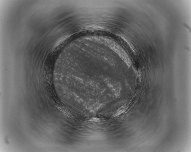 X0000096130919200802081322