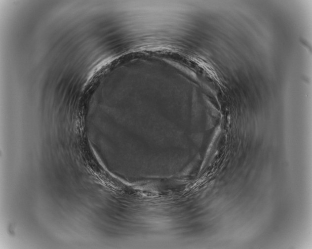 X0000096130920200802081322