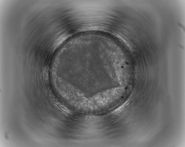 X0000096130921200802081322