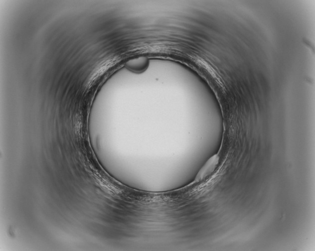 X0000096130922200802081322