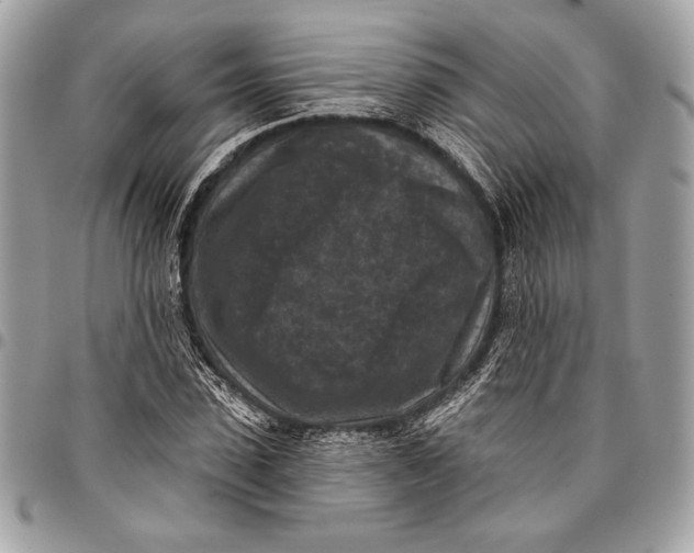 X0000096130923200802081322