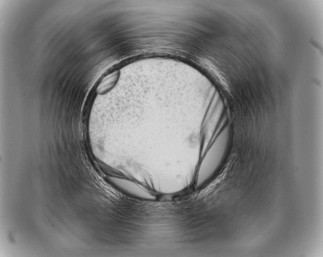 X0000096130924200802081322