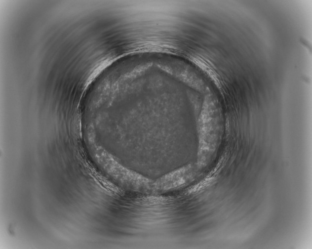 X0000096130925200802081322