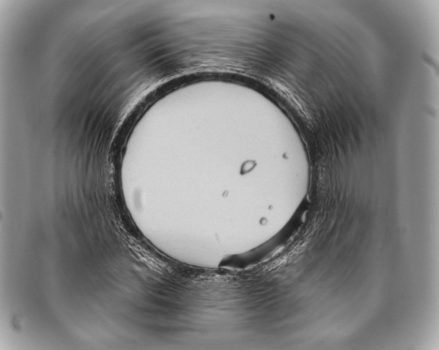 X0000096130926200802081322