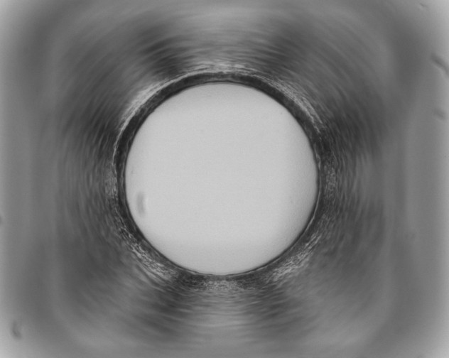 X0000096130927200802081322