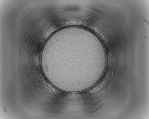 X0000096130929200802081322