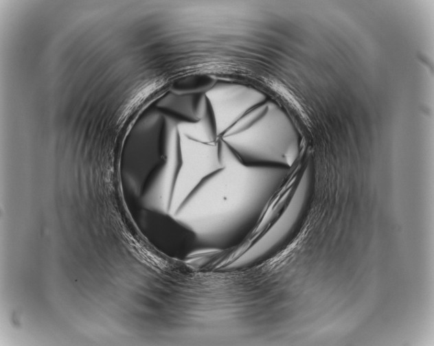X0000096130930200802081322