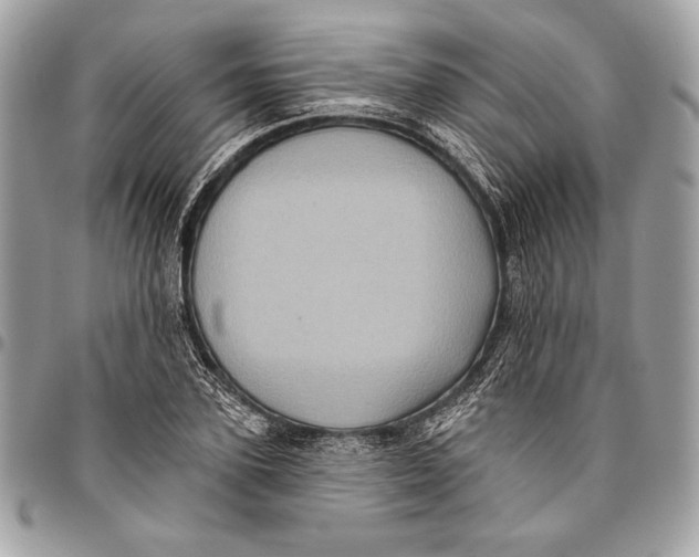 X0000096130931200802081322