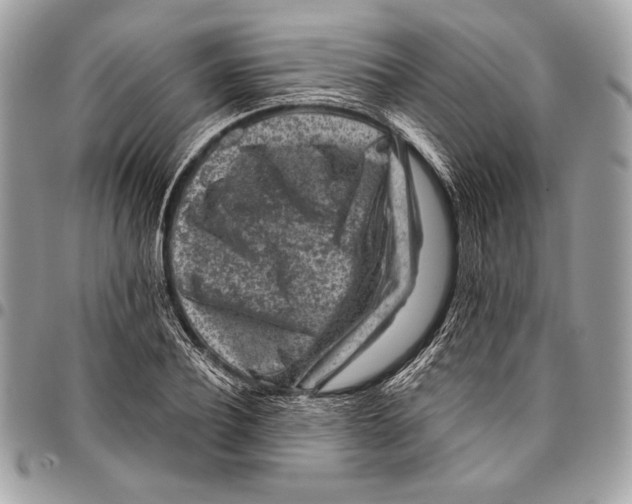 X0000096130932200802081322