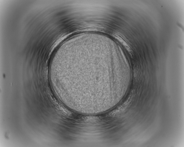X0000096130933200802081322