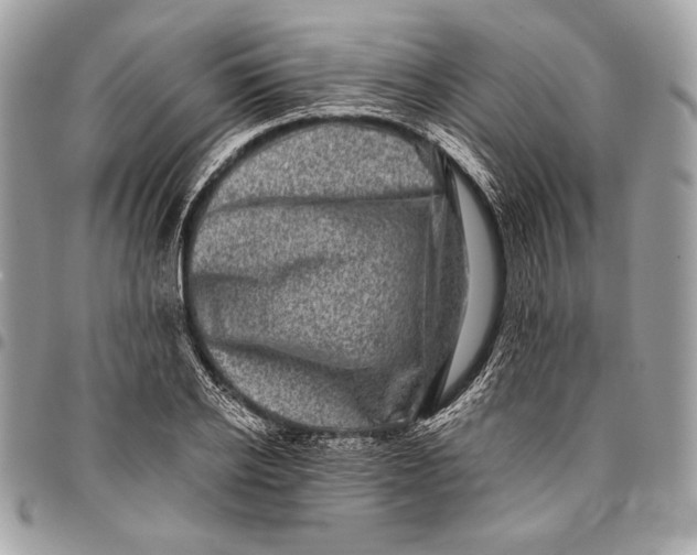 X0000096130934200802081322