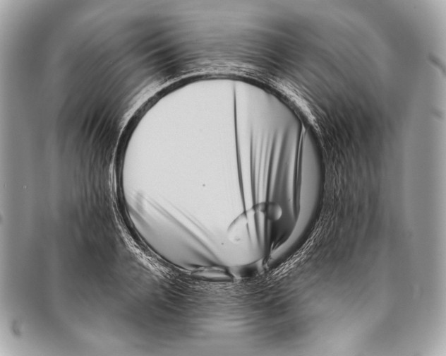 X0000096130936200802081322