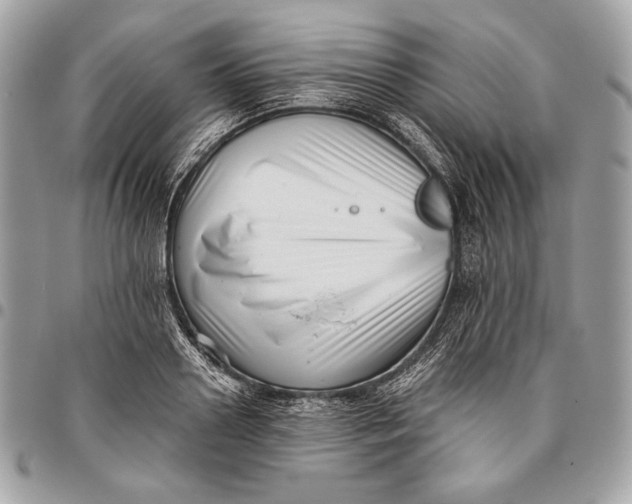 X0000096130938200802081322