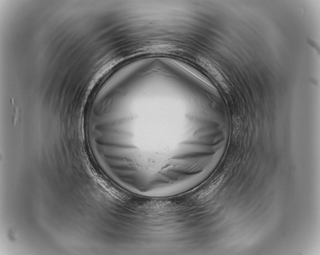 X0000096130939200802081322