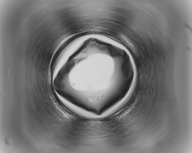 X0000096130940200802081322