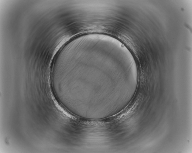 X0000096130941200802081322