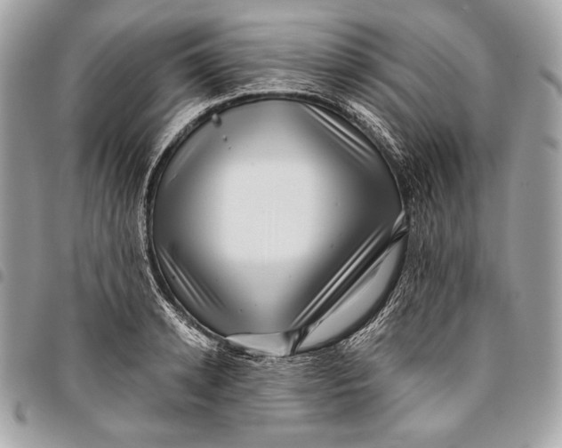 X0000096130942200802081322
