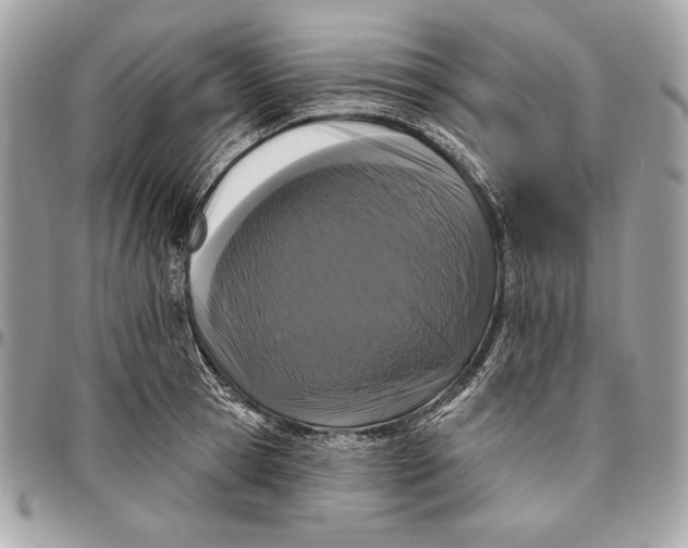 X0000096130945200802081322