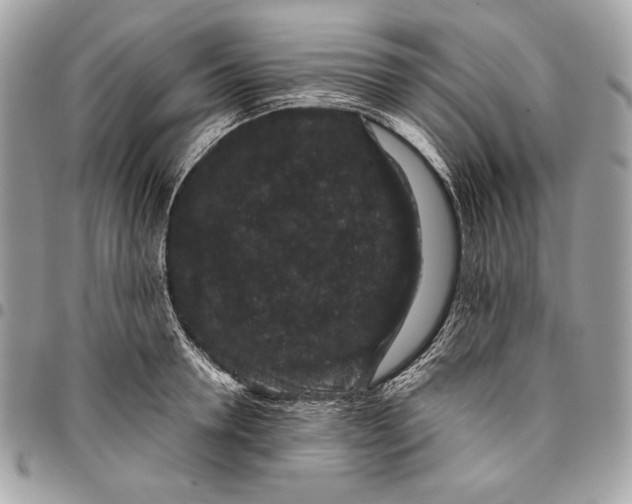 X0000096130946200802081322