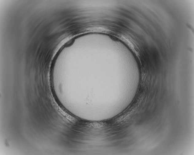X0000096130947200802081322