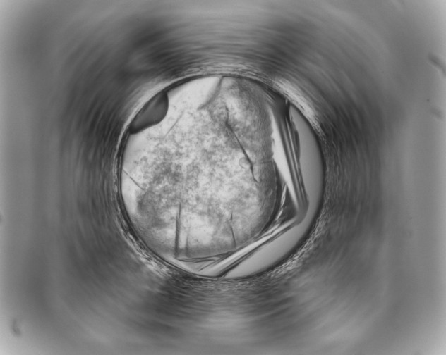 X0000096130948200802081322