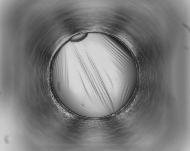 X0000096130949200802081322
