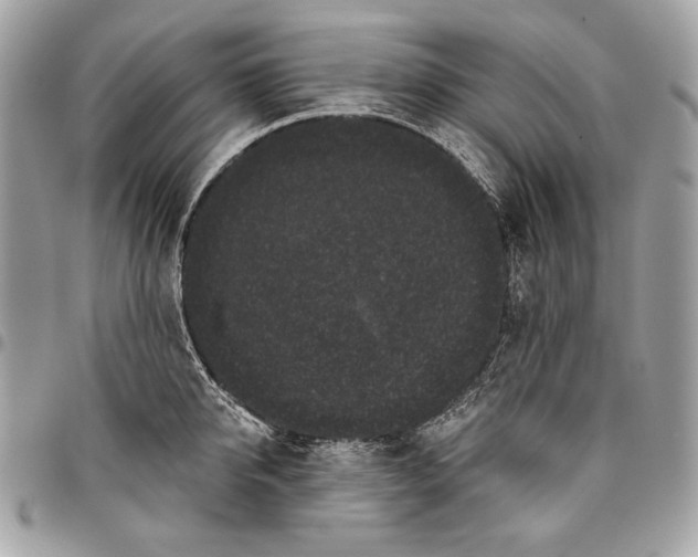 X0000096130950200802081322