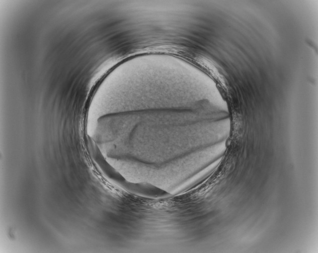 X0000096130952200802081322
